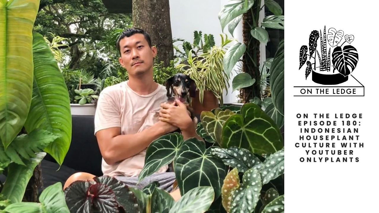 On The Ledge Episode 180: Indonesian houseplant culture with Youtuber Onlyplants