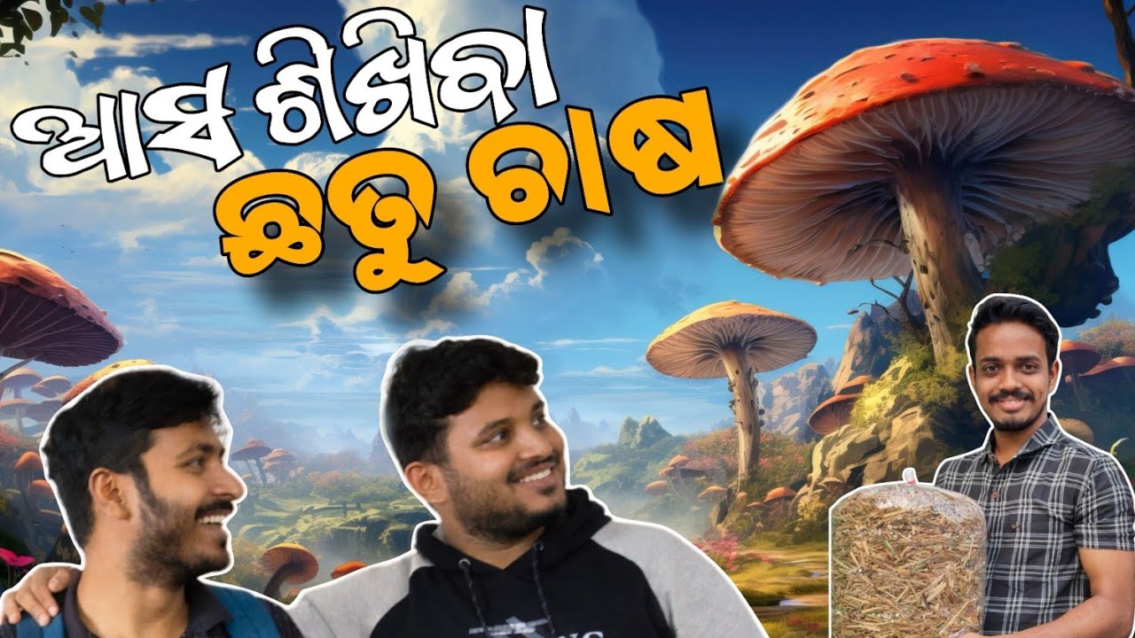 Odisha Mushroom// Odia Comedy Video// #odiacomedy #youtube #agriculture #odia #odiavideo #odisha #yt
