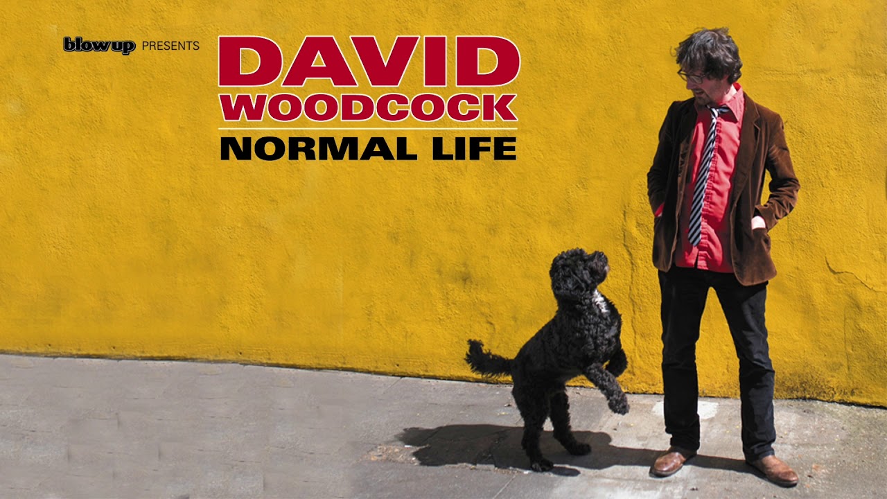 David Woodcock 'If You Ever Get Out Of Your Bedroom' [Official Audio] - from 'Normal Life' (Blow Up)