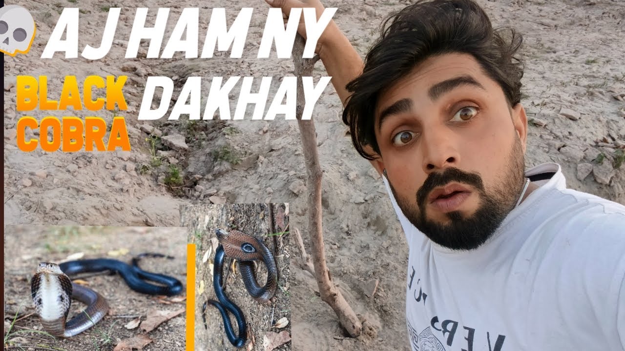 Aj Ham ny Black cobra pkra#foryou#blackcobra#1millionviews #1m#foryoupage #neelag1#unfrezzmyaccount 