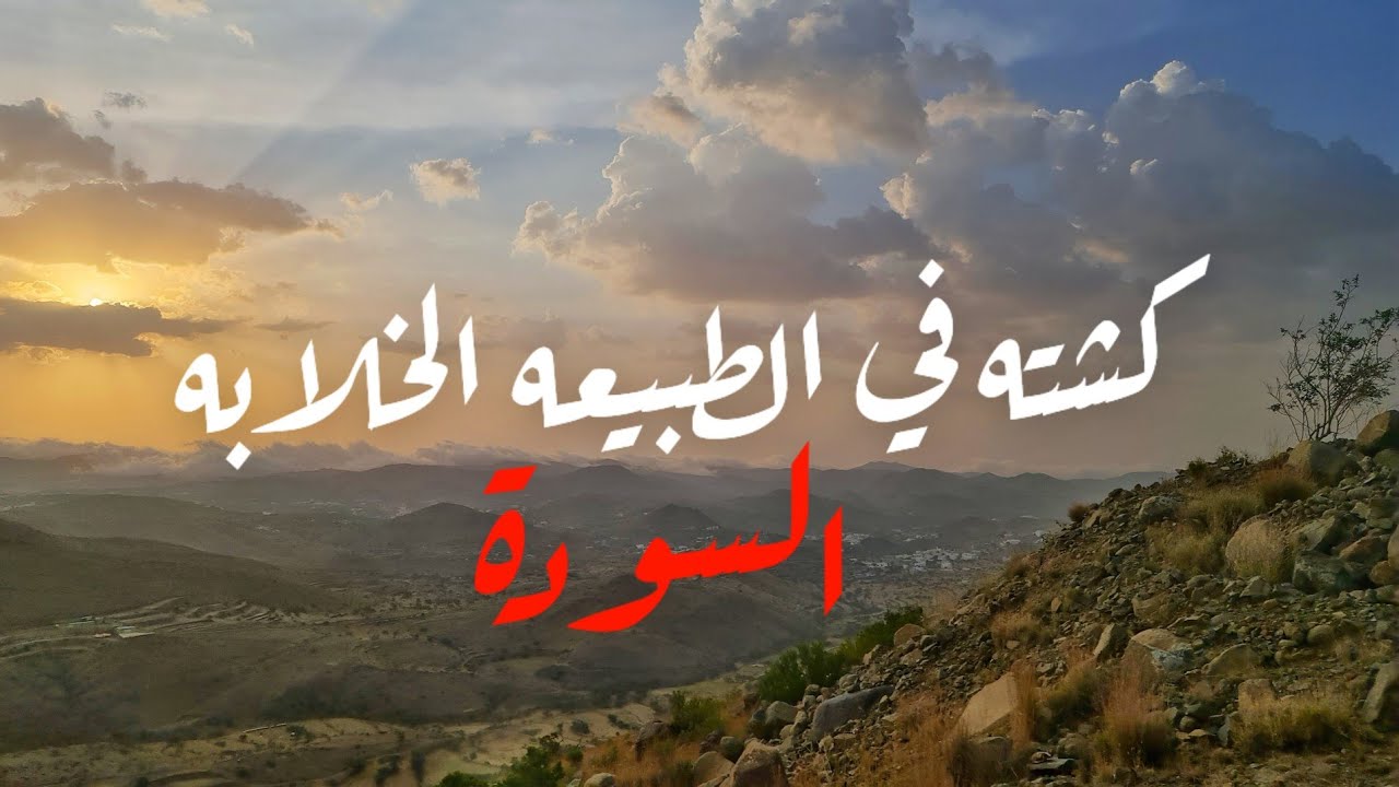 رحله جنوب المملكه كشته في الطبيعه الخلابه السودة - الجزء الثاني 🌴🌿🌳⛺