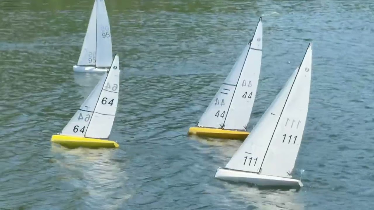 Karl the slippery Swiss seals the Oscar today 12/01/26 at the quarry lake Takapuna 