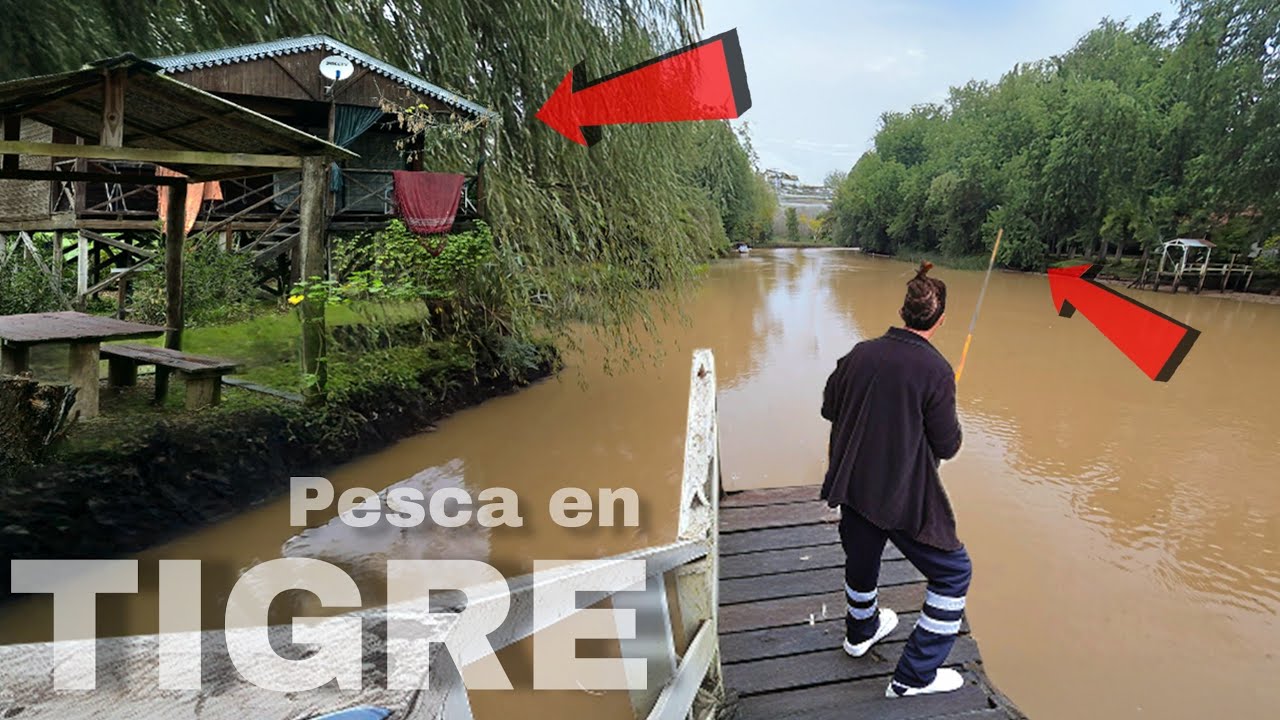 SALIO LA BESTIA QUE BUSCABA, PESCA en TIGRE, TE VA A ENCANTAR ESTE LUGAR, CABAÑAS SIEMPRE LAURA.