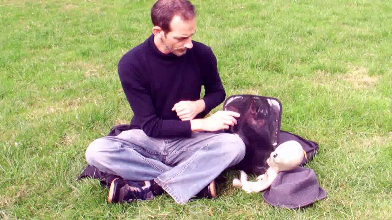 Geduld...irgendwann wird aus Gras Milch