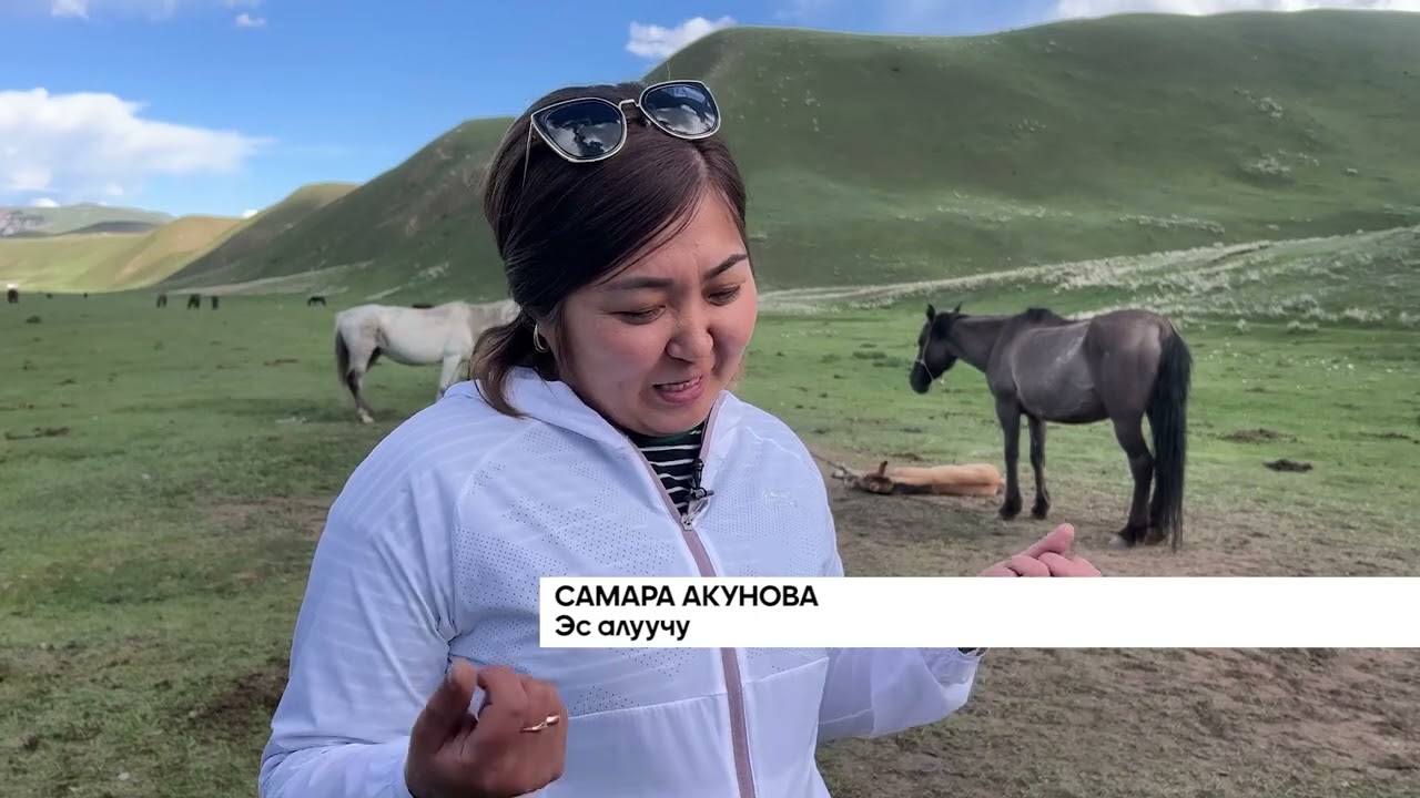 ЖАЙЛООДОГУ ЖАЙ ТУРМУШ