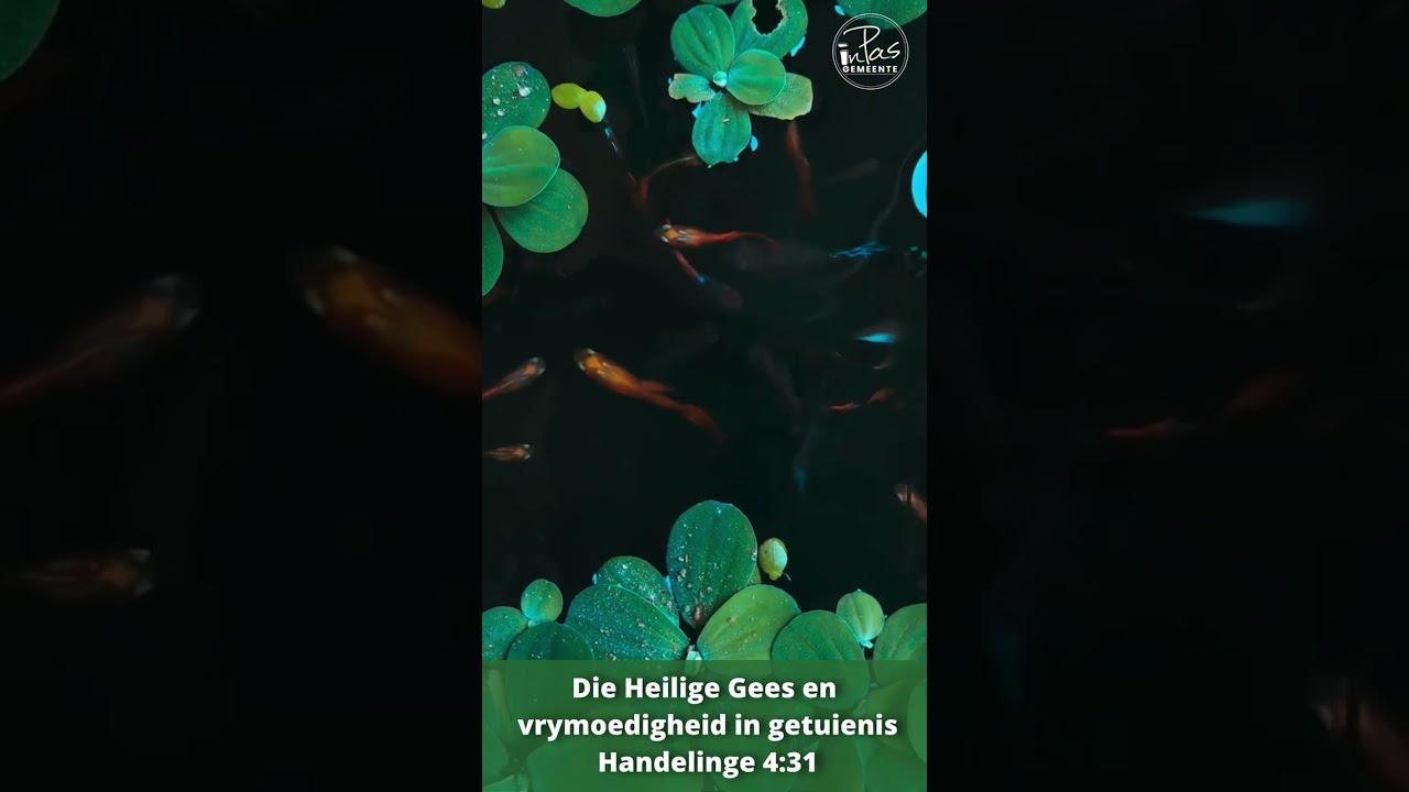 (Begeleide gebede) Die Heilige Gees en vrymoedigheid in getuienis, Handelinge 4:31