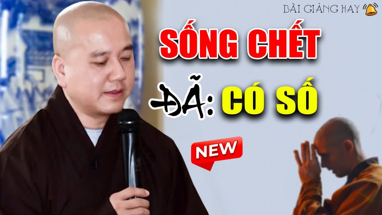 Sống Chết Đã Có Số NGHIỆP Đến Không Sao Tránh Khỏi Được Bài Giảng Hay   Thầy Thích Pháp Hòa