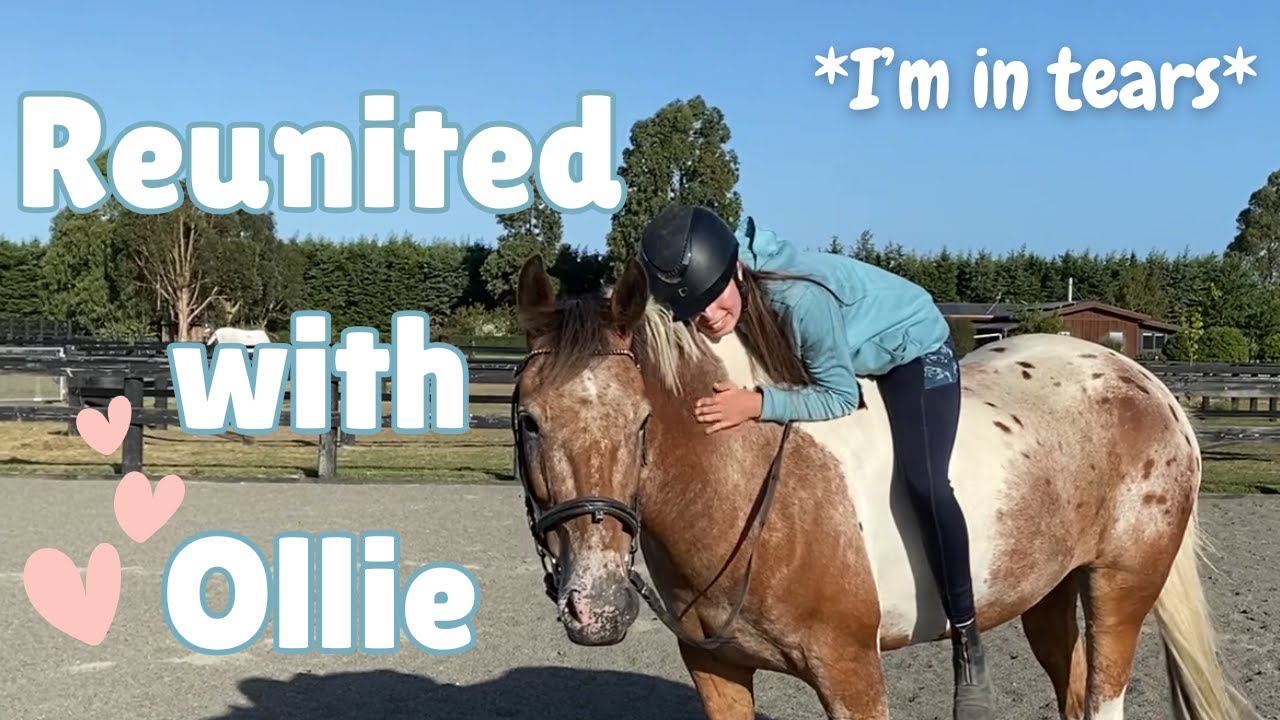 *i cried* REUNITED WITH OLLIE! Riding my *SPOOKY* HORSE AFTER TWO WEEKS APART!