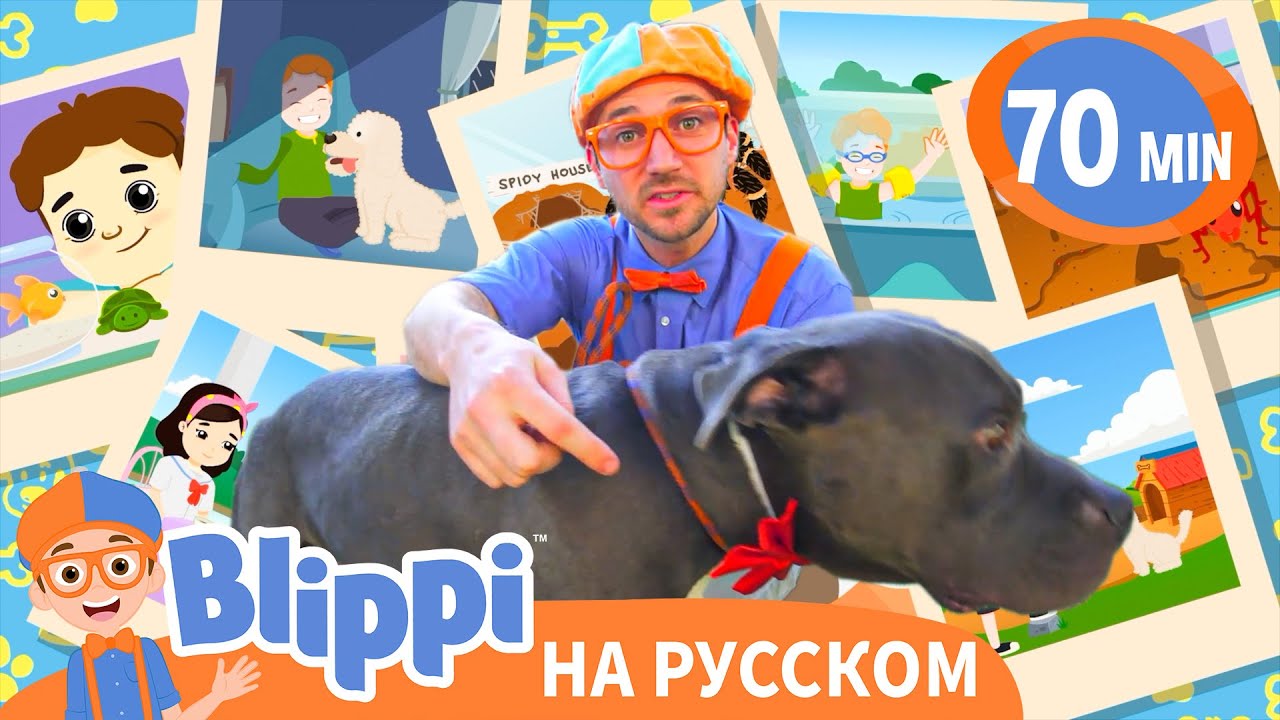 Блиппи в приюте для животных 🐾🏠 | Блиппи на русском