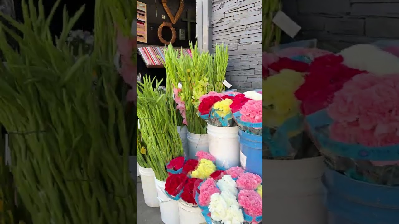 Mua hoa tết tại mỹ giá rẻ nhất ..