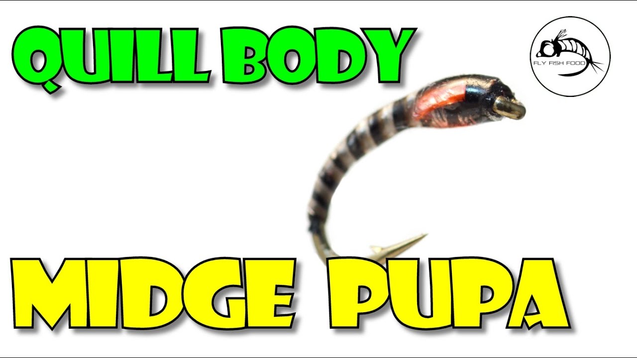 Fly Tying Tutorial: Quill Body Midge Pupa by Fly Fish Food