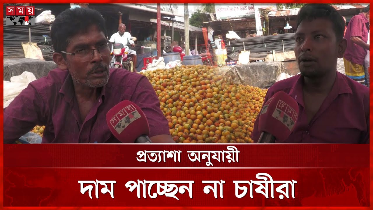 লক্ষ্মীপুরে এবার সুপারিতে ৭০০ কোটি টাকা আয়ের সম্ভাবনা | Betel Nut | Lakshmipur | Somoy TV