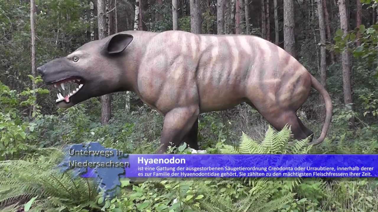 Dinopark Münchehagen - Unterwegs in Niedersachsen - SHORTY