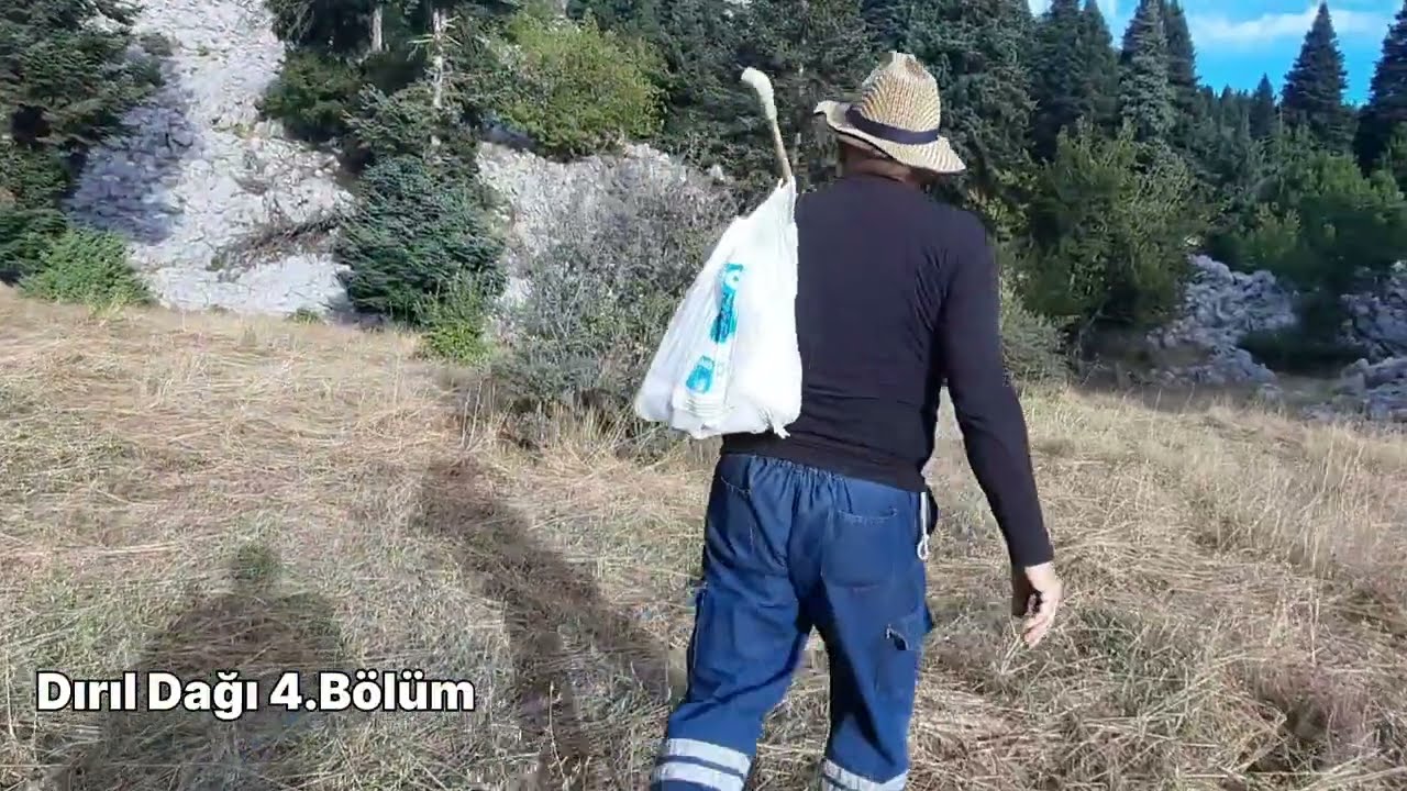 Tırıl Dağı 