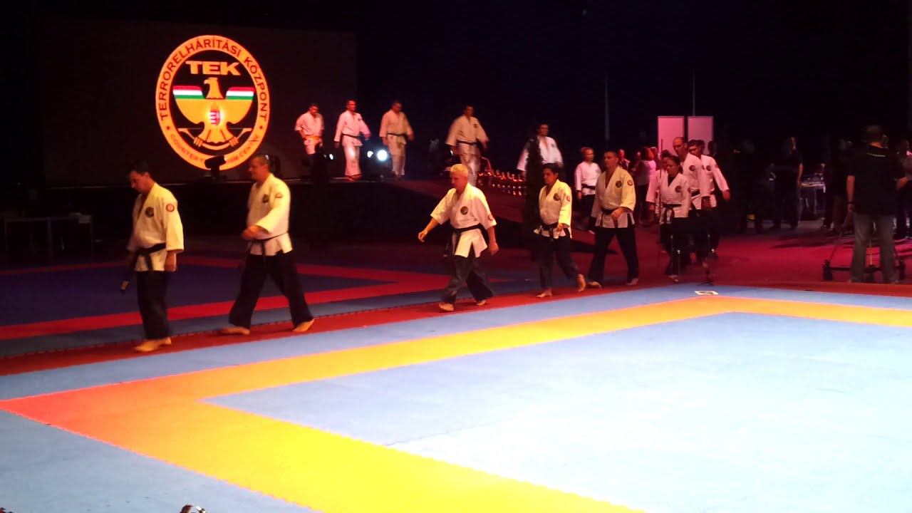 Kelemen Ryu Ju Jitsu bemutató TEK Gála 2012.09.29.