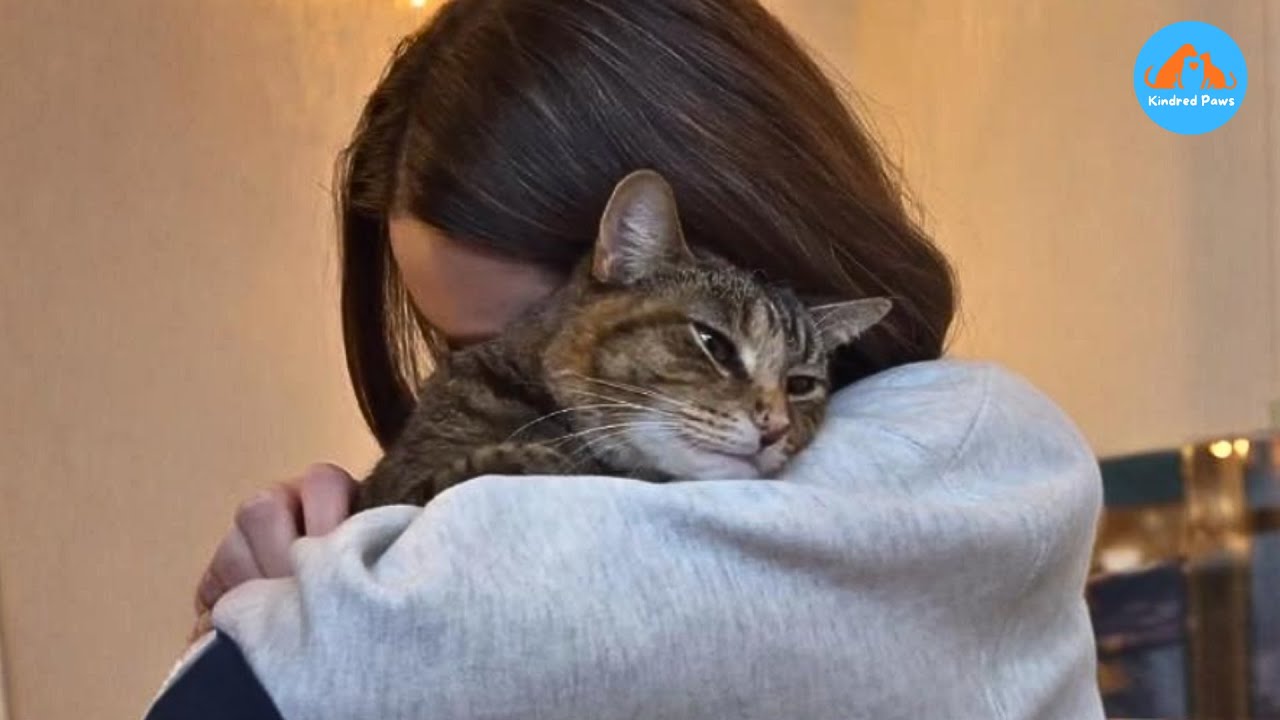 Она обнимала меня так, словно ждала этого всю свою жизнь.