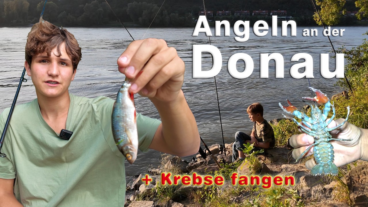 Angeln an der Donau - Fischen mit verschiedenen Ködern, Methoden und Montagen in Melk an der Donau
