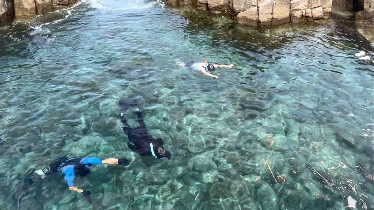2024年8月 福井県福井市 鮎川園地 にて海 キャンプ。水中動画 水中釣り アオリイカ や イシダイ とダイビング で遊び、BBQ 花火 カヤックフィッシングを楽しみました！