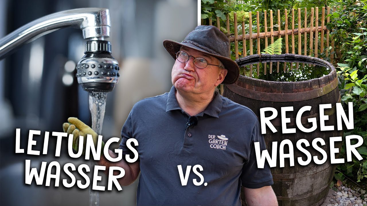 Achtung beim Gießen! 💦 - das richtige Wasser für deine Pflanzen
