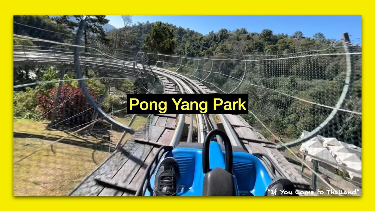 Pong Yang Jungle Coaster & Zipline (Chiang Mai Province)