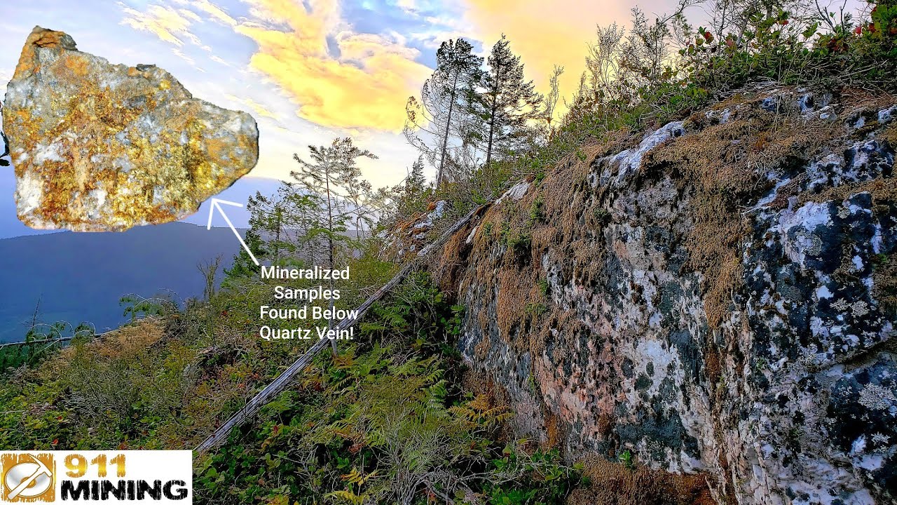 Массивная золотоносная кварцевая жила с минерализацией!