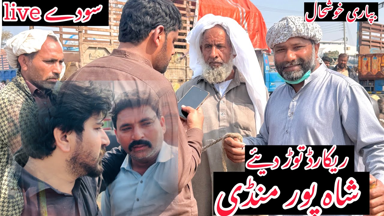 شاہ پور منڈی میں بپاریوں کی صورت حال جانئے 