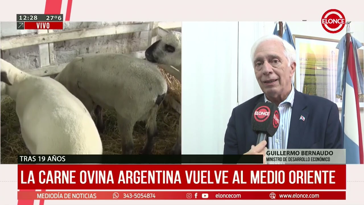 La carne ovina Argentina vuelve al medio oriente - Elonce