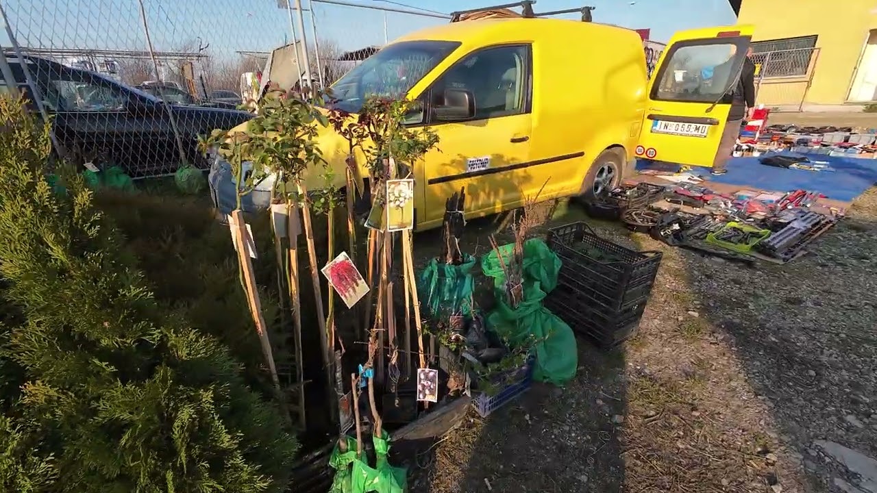 Pijačni dan u Šapcu 13 mart 2026