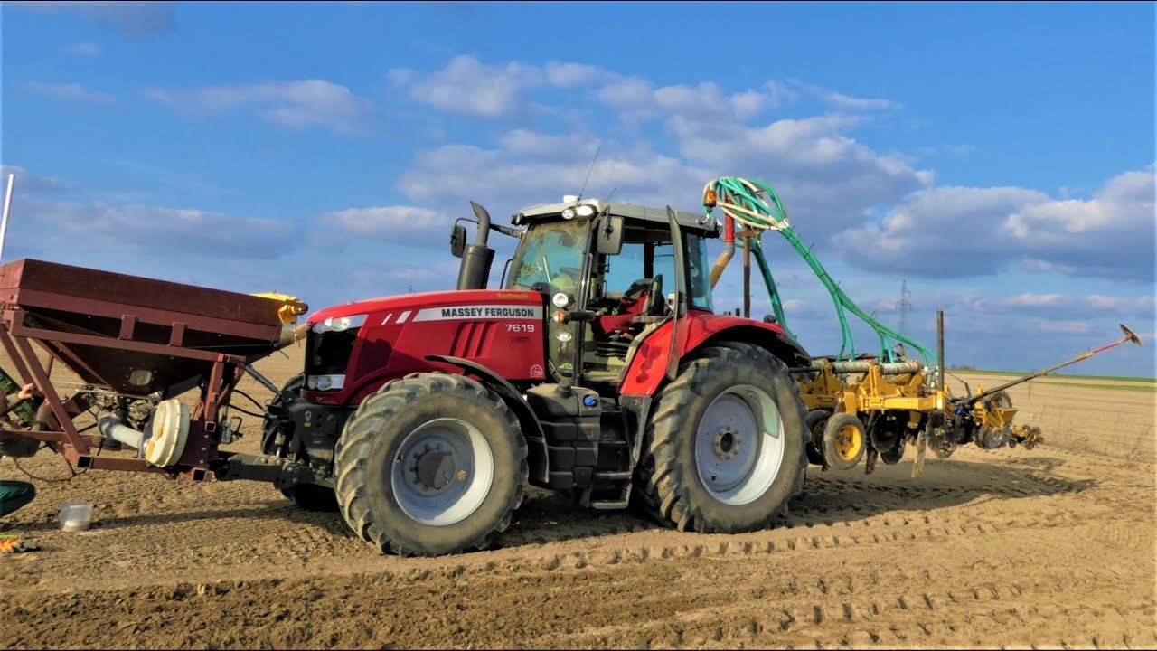 Bezorkowy Siew Buraków 2019 ☆ Strip Till ☆ Massey Ferguson 7619