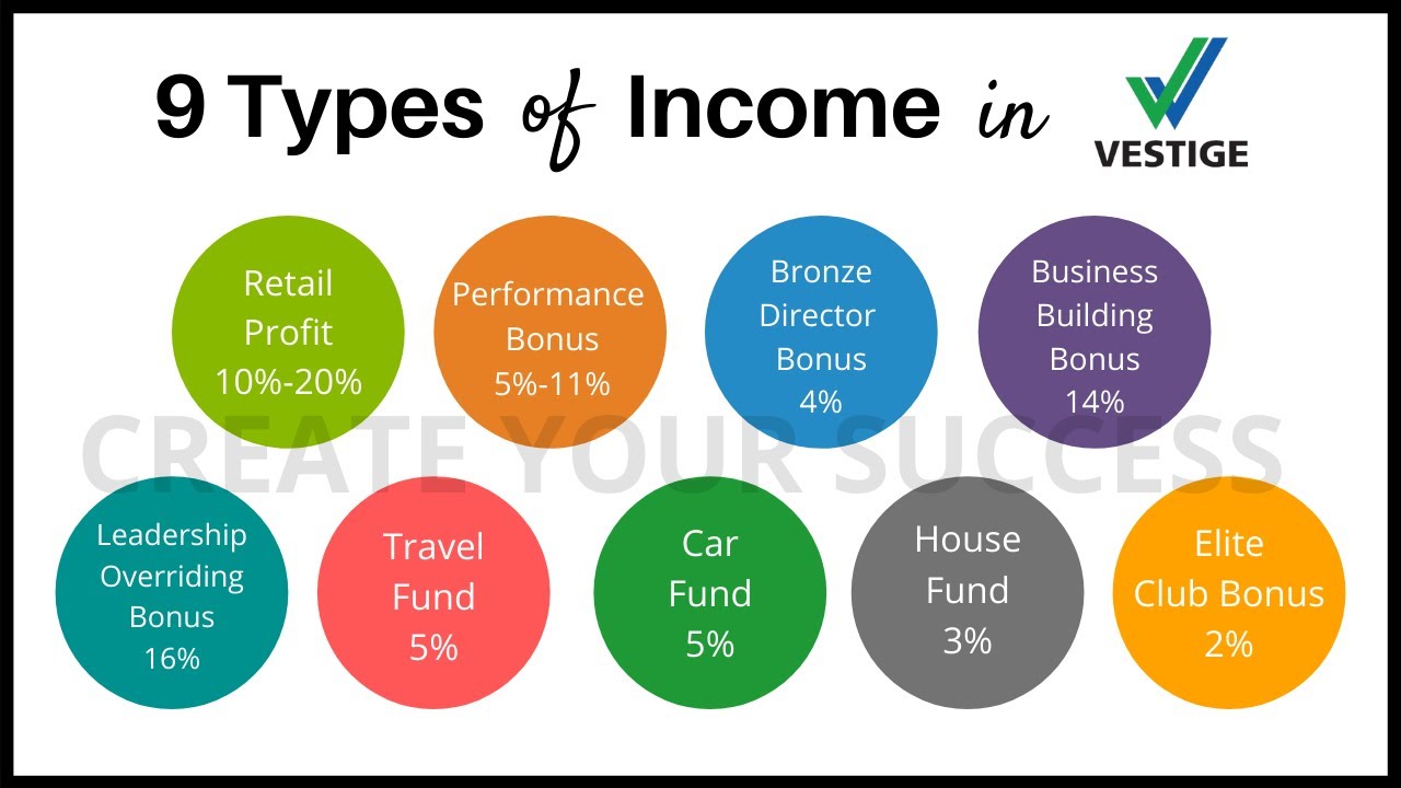 9 Types of Income in VESTIGE (in Hindi) 💰