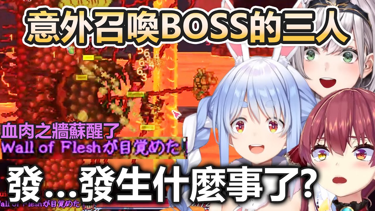 第三天的Terraria偶然把BOSS召喚出來的Pekora跟團長船長【兎田ぺこら/兔田佩克拉/白銀ノエル/白銀諾艾爾/宝鐘マリン/寶鐘瑪琳】【Hololive中文精華】