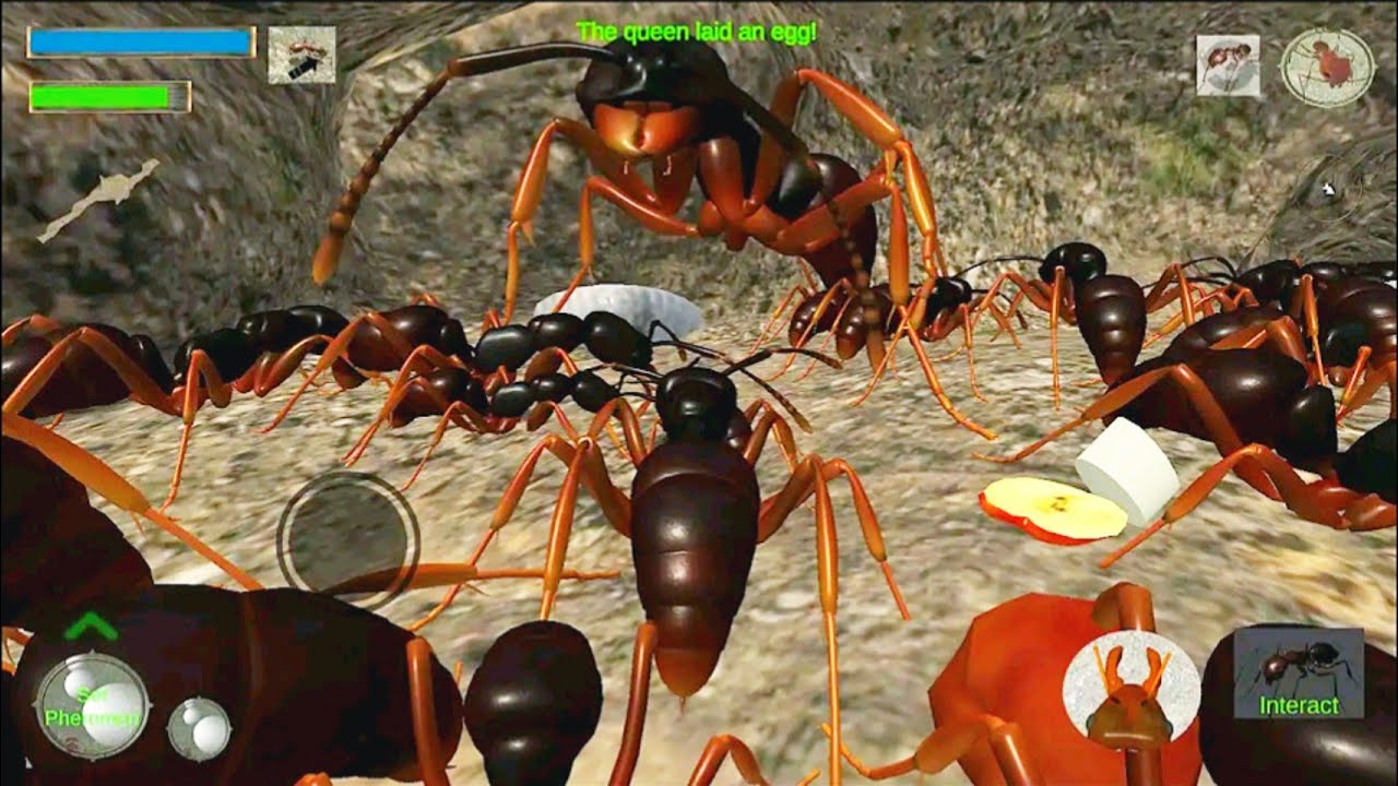 Ant Simulator 3D survival game and animal simulator Android GamePlay
