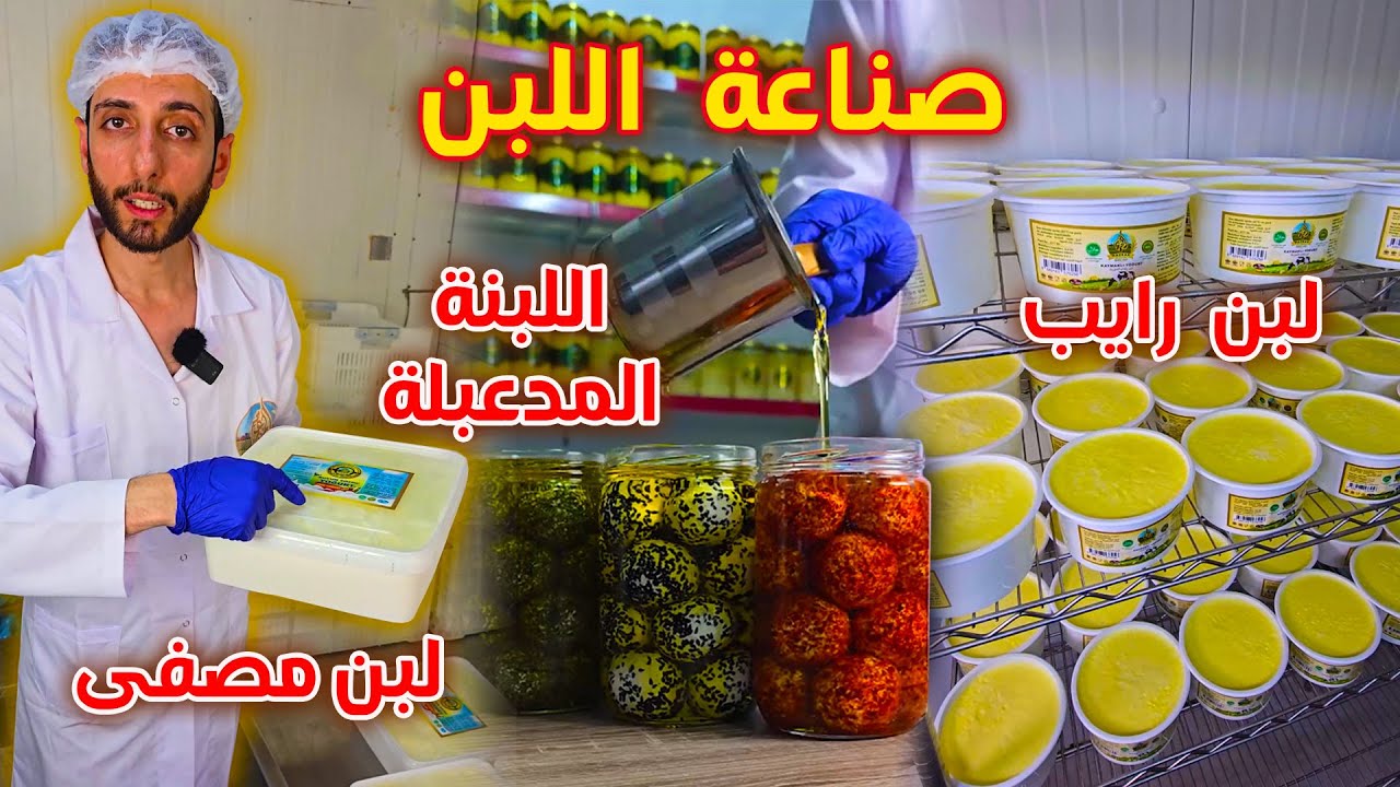أسرار صناعة اللبن في المصانع: رحلة من الحليب إلى الزبادي