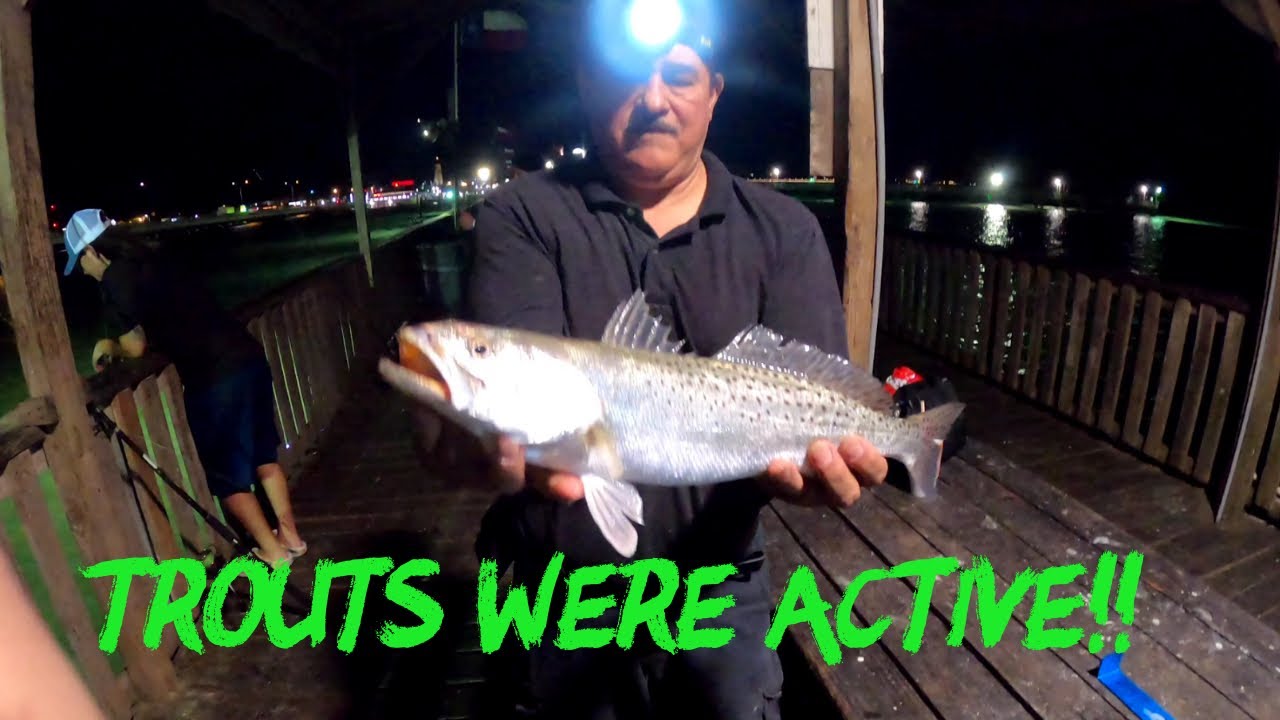 Pirates landing pier These BAIT SPRAYS worked! Ballyhoo bait oils from RGV BAITMASTERS