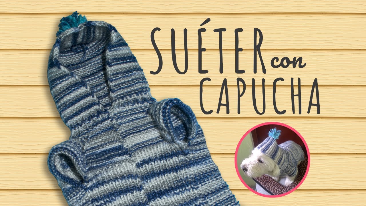 Haz este simpático Suéter o Polera con Capucha! muy básico.