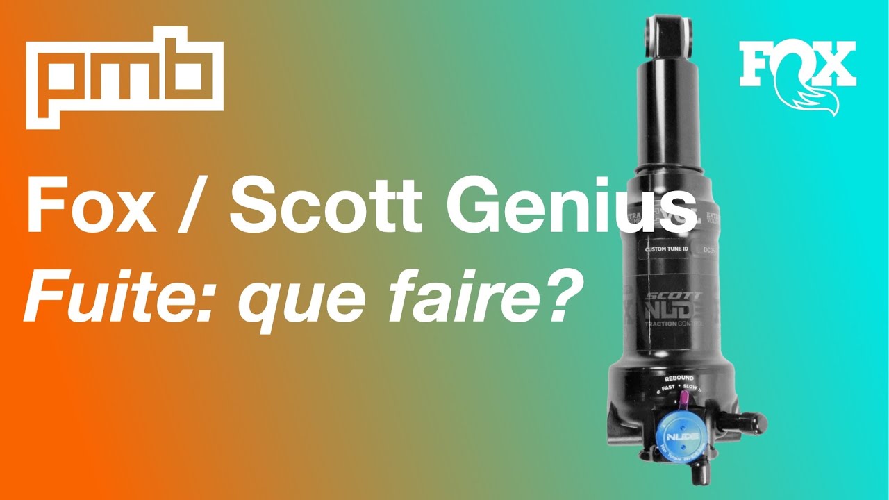 Fox / Scott DPS qui fuit! Que faire?