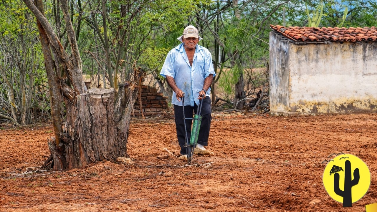 [VIDA NA ROÇA] Capote da Batata Animado com as Chuvas: Já Arou a Terra e Começou a Plantar de Tudo 🌵