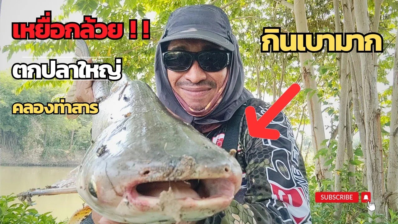 ใช้กล้วยตกปลา ตามหาของใหญ่อีกรอบยังเจอตัวอยู่