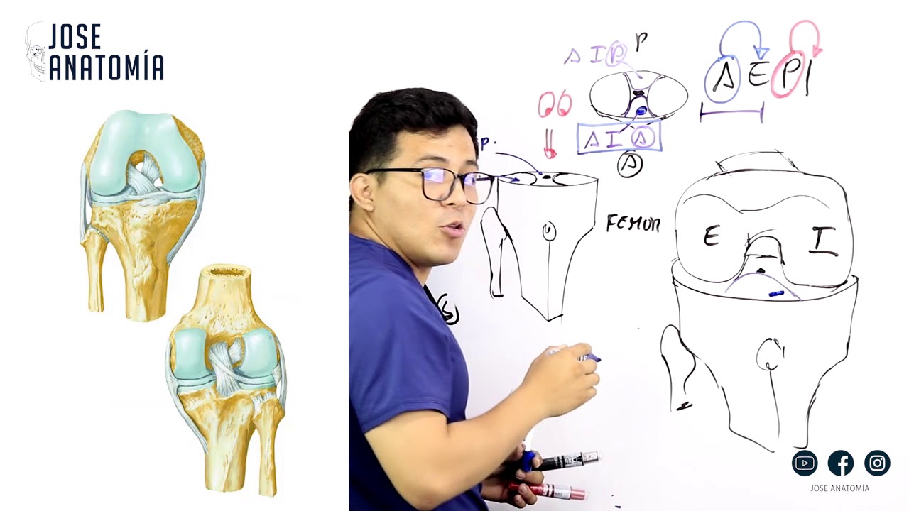LIGAMENTO CRUZADO ANTERIOR