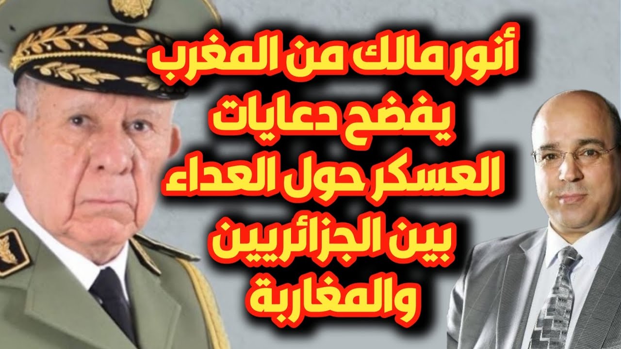 أنور مالك من المغرب يفضح دعايات العسكر حول العداء بين الجزائريين والمغاربة
