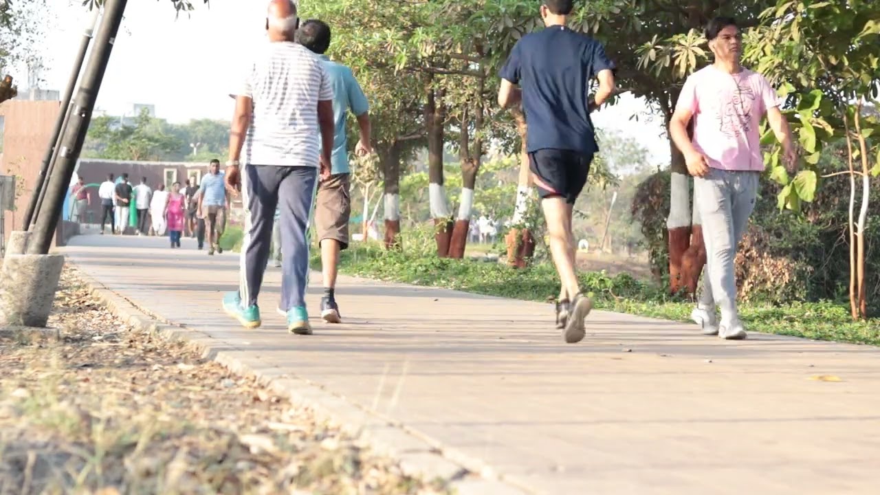 People Walking in the park- Stock Video Free Download
