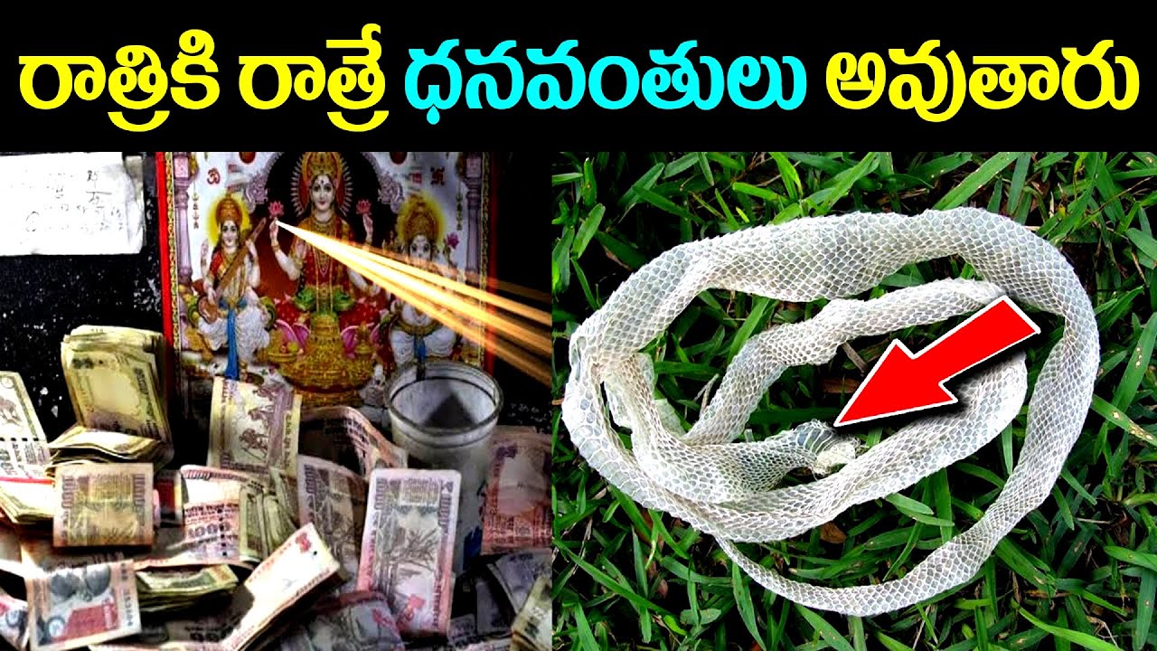 ఎక్కడైనా పాము కుబుసం దొరికితే అస్సలు వదలకండి.. రాత్రికి రాత్రే ధనవంతులు అవుతారు || KSK Home