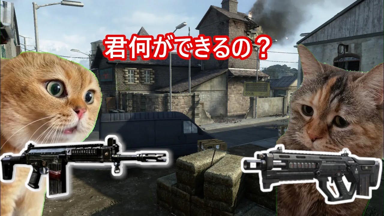 個人的BO2の各ARの評価の話 #猫ミーム #猫マニ