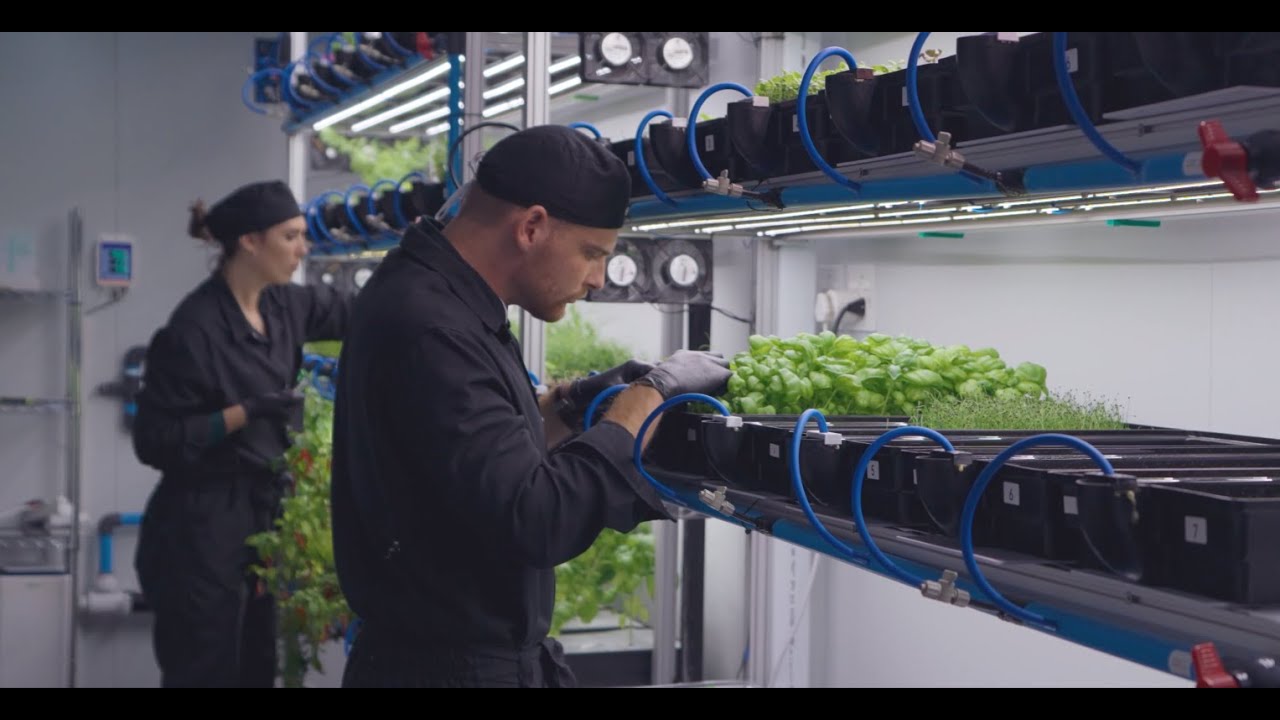 Arable Grow: Revolutionizing Agriculture with Sustainable Vertical Farming Technology