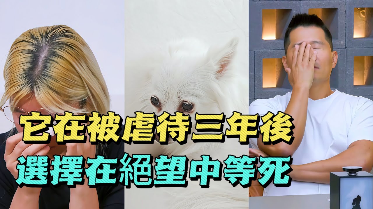 狗狗每天瘋狂站立5個小時，活生生把自己餓成皮包骨，訓犬師第一次露出絕望的神情