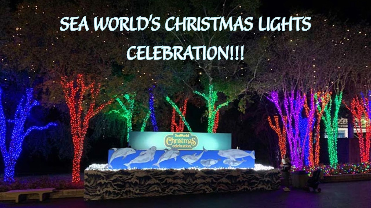 BIGGEST CHRISTMAS CELEBRATION in TEXAS at Sea World San Antonio FULL PARK WALK THROUGH