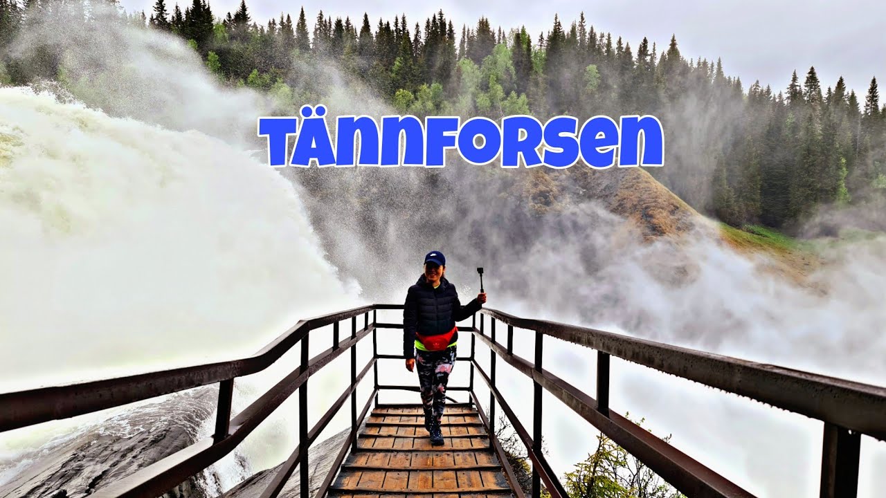 EXPLORING SWEDEN´S GRANDEST WATERFALL / TÄNNFORSEN