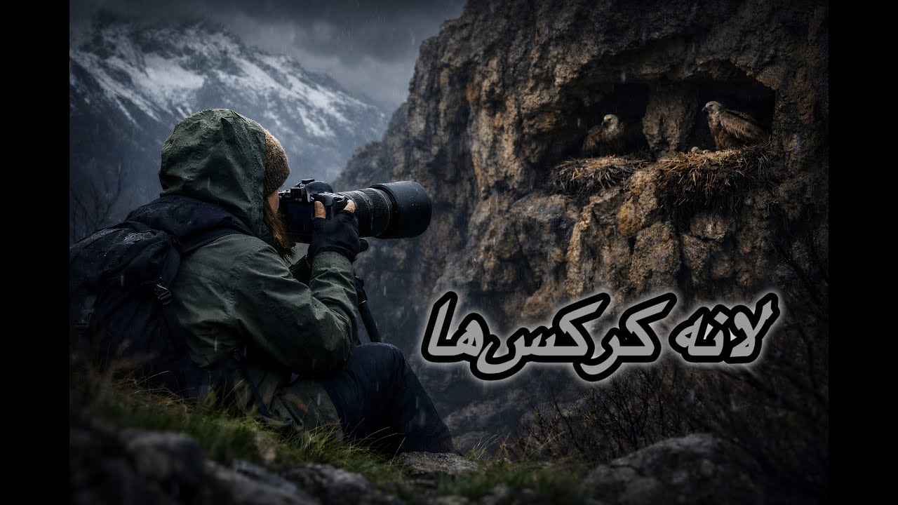 مستند لانه کرکس Documentary on identifying a vulture's nest