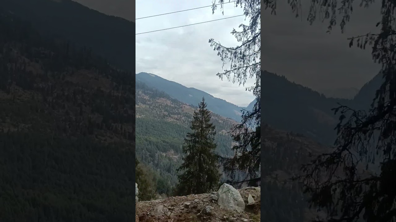 swipe up the under the forest Areas.
