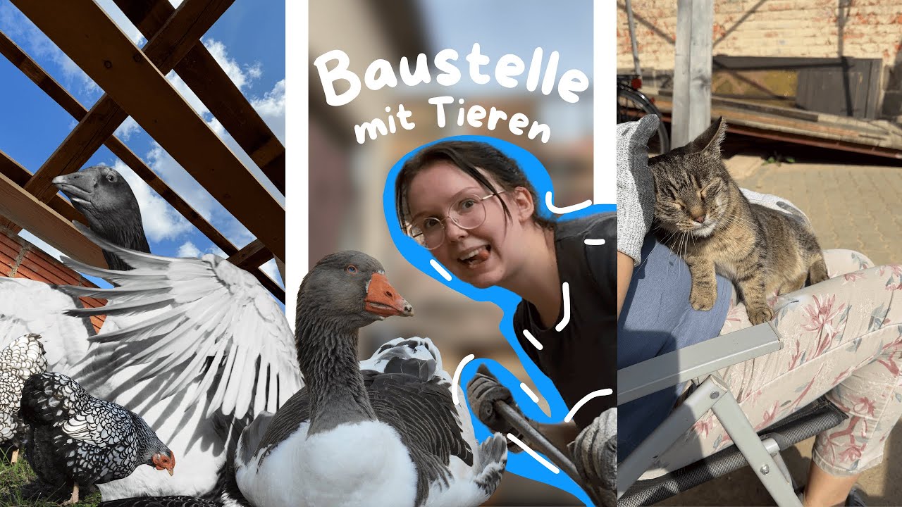Alltag zwischen Baustelle, Enten & Gnadenhof-Ganter | Weekly Vlog mit Herz & Ziegelpower